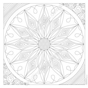 Guided Wholecloth Sunflower