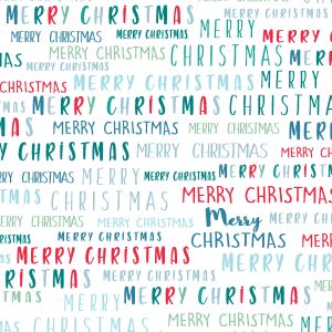 Merry Christmas Winter Waddles