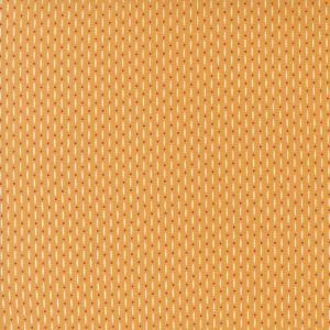 Raspberry Summer -Beaded Apricot