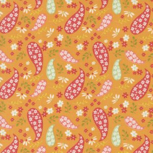 Raspberry Summer - Apricot Paisley