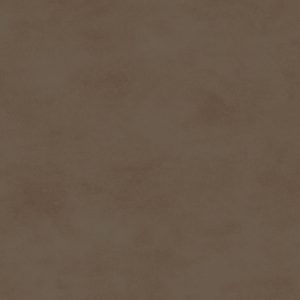 Shadow Play - Mushroom