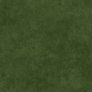 Shadow Play - Fern