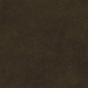 Shadow Play - French Roast
