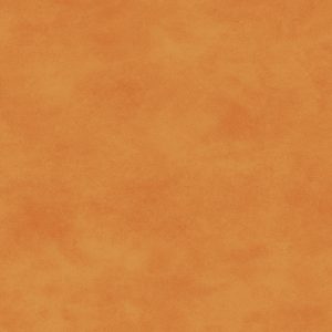 Shadow Play - Sweet Apricot