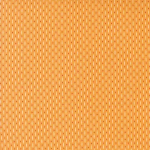 Moda Raspberry Summer Beaded Apricot 37696-24