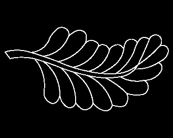 Palm-Leaf