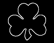 Shamrock
